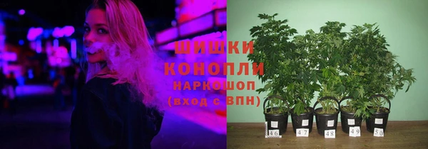 дмт Алзамай