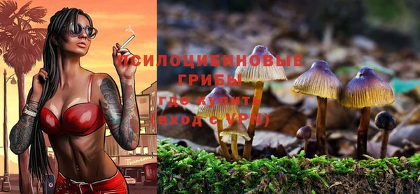 круглые Алексеевка