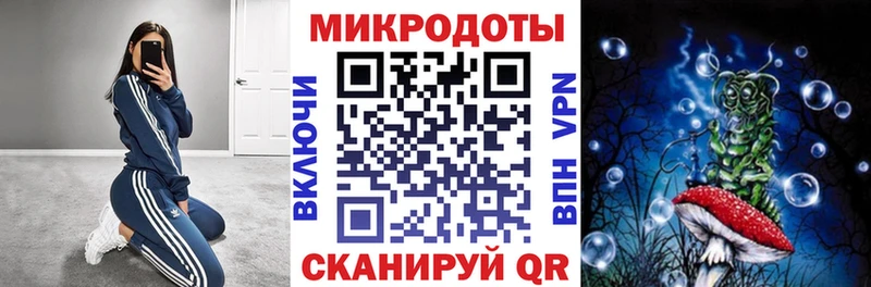 Галлюциногенные грибы мицелий Томмот